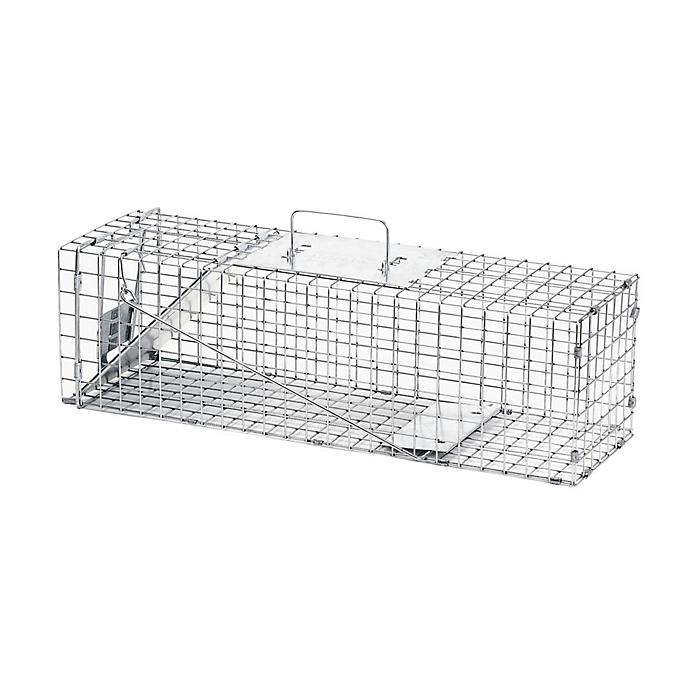 Raccoon & Groundhog Trap
