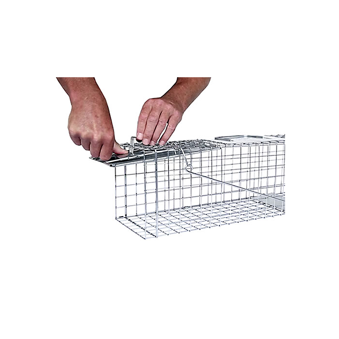 Raccoon & Groundhog Trap
