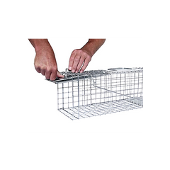 Raccoon & Groundhog Trap