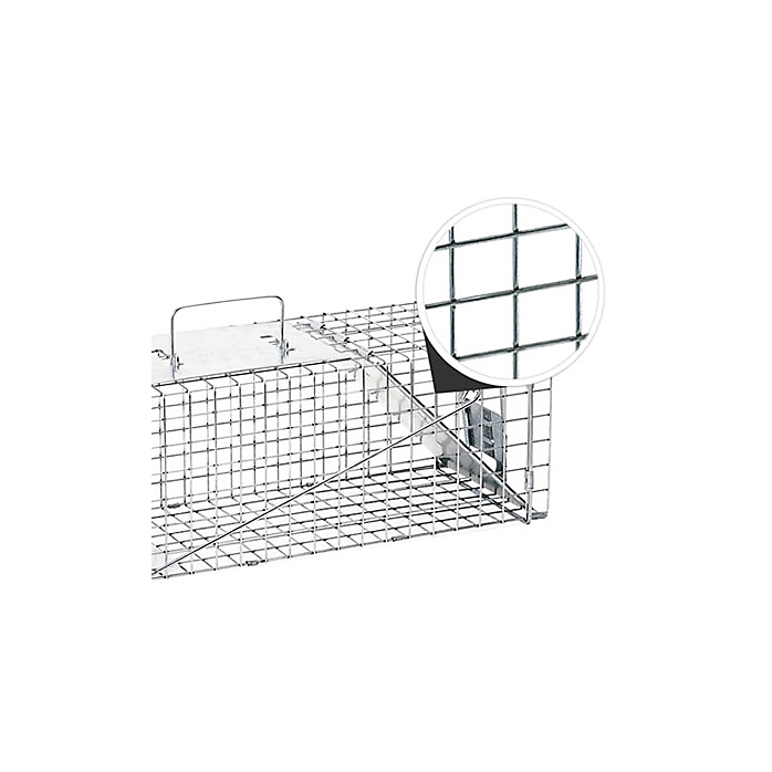 Raccoon & Groundhog Trap