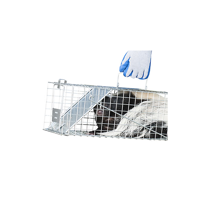 Raccoon & Groundhog Trap