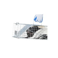 Raccoon & Groundhog Trap