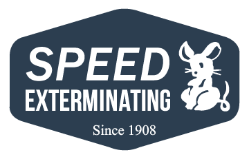 Speed Exterminating
